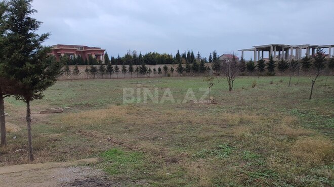 Продаётся  участок 59 сот, пос. Бадамдар, photo 4 from 12