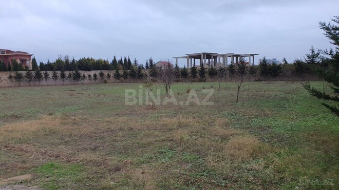 Продаётся  участок 59 сот, пос. Бадамдар, photo 5 from 12