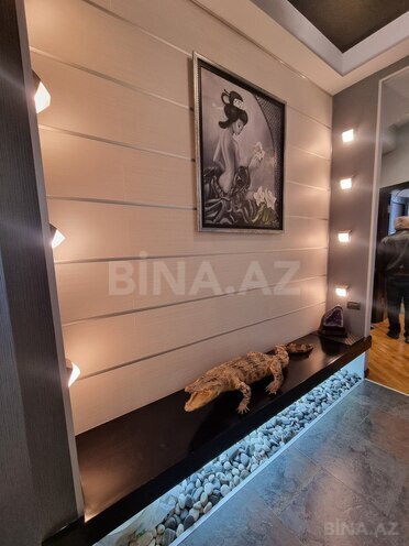 Продаётся 4-комн. новостройка 170 м², м. Низами, photo 4 from 18