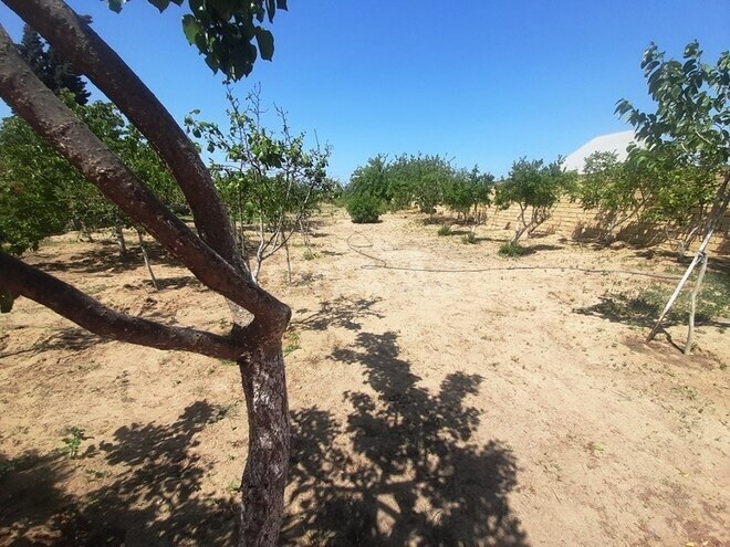 Satılır  həyət evi/bağ evi 100 m², Binəqədi r., photo 16 from 32