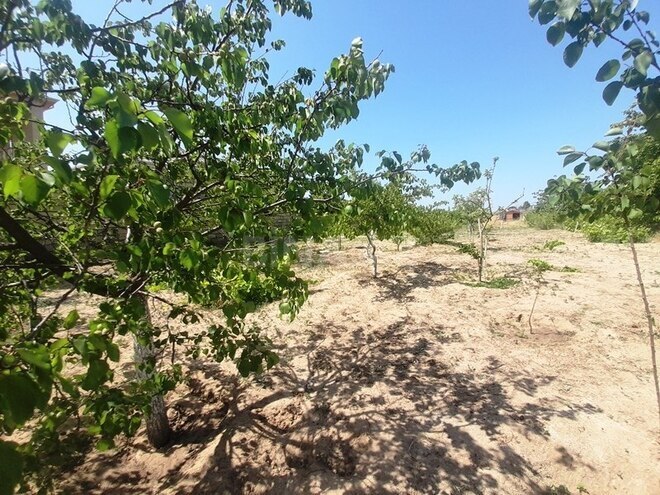 Satılır  həyət evi/bağ evi 100 m², Binəqədi r., photo 19 from 32