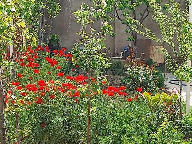 Продаётся 6-комн. дом/дача 250 м², пос. М. Расулзаде, photo 14 from 20