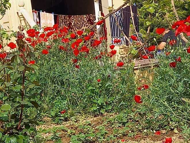 Продаётся 6-комн. дом/дача 250 м², пос. М. Расулзаде, photo 15 from 20