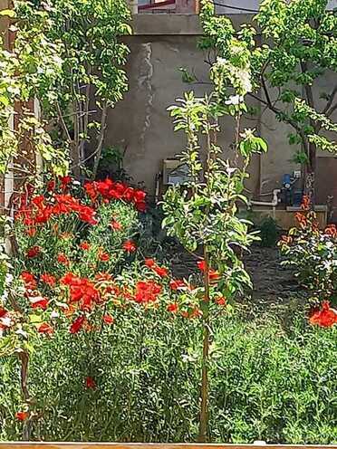 Продаётся 6-комн. дом/дача 250 м², пос. М. Расулзаде, photo 16 from 20