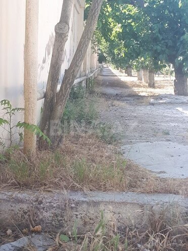 Satılır  torpaq 50 sot, Nərimanov r., photo 6 from 25