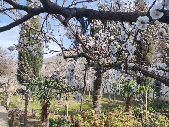 Satılır 6 otaqlı həyət evi/bağ evi 450 m², Novxanı q., photo 12 from 31