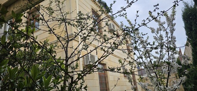 Satılır 6 otaqlı həyət evi/bağ evi 400 m², Badamdar q., photo 5 from 30