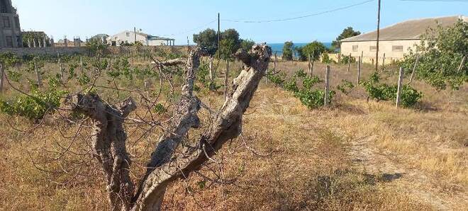 Satılır  torpaq 27 sot, Novxanı q., photo 20 from 32