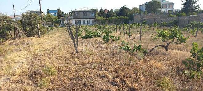 Satılır  torpaq 27 sot, Novxanı q., photo 23 from 32