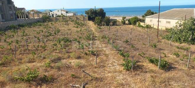 Satılır  torpaq 27 sot, Novxanı q., photo 12 from 32