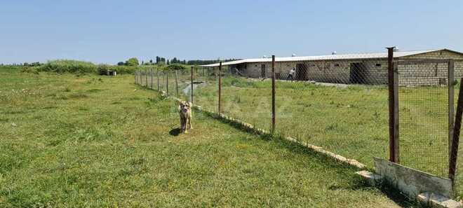 Продаётся  объект 500 м², Хачмазский р., photo 3 from 14