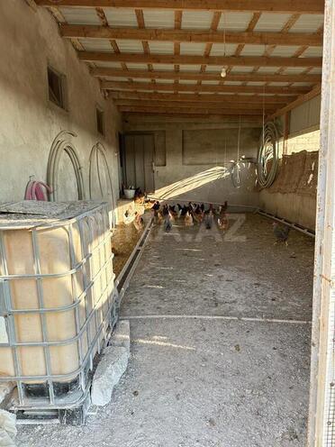 Продаётся  объект 25 000 м², пос. Тюркан, photo 21 from 32