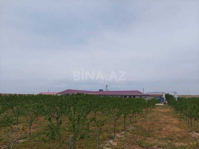 Продаётся  объект 25 000 м², пос. Тюркан, photo 4 from 32