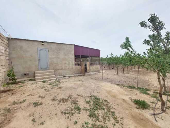 Продаётся  объект 25 000 м², пос. Тюркан, photo 24 from 32