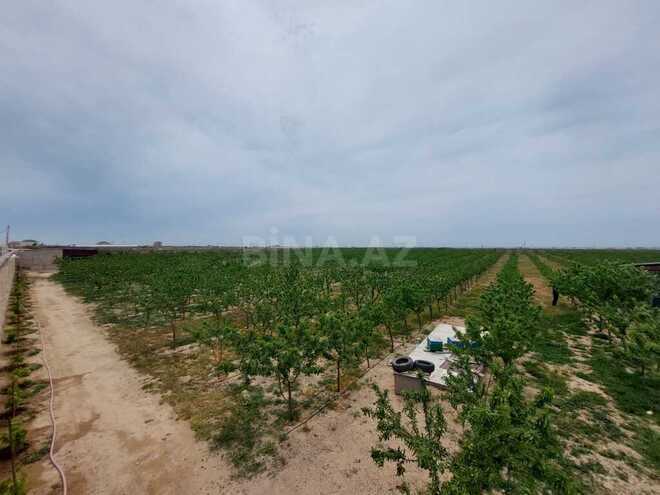 Продаётся  объект 25 000 м², пос. Тюркан, photo 3 from 32