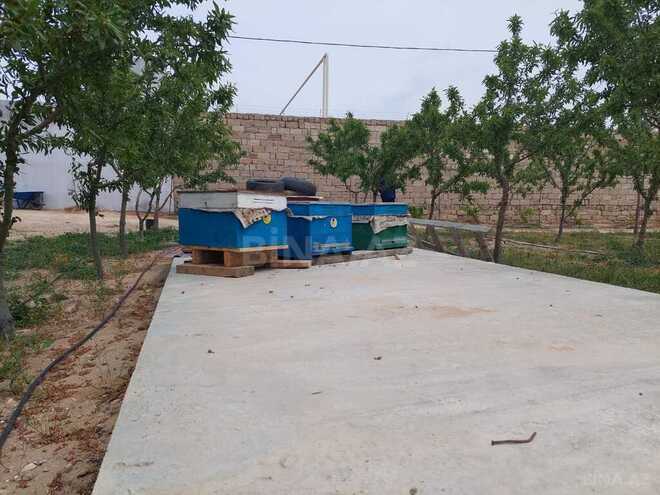 Продаётся  объект 25 000 м², пос. Тюркан, photo 29 from 32