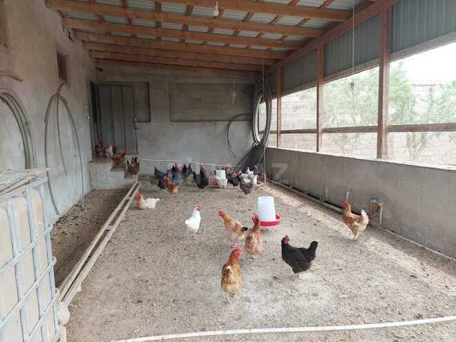 Продаётся  объект 25 000 м², пос. Тюркан, photo 22 from 32