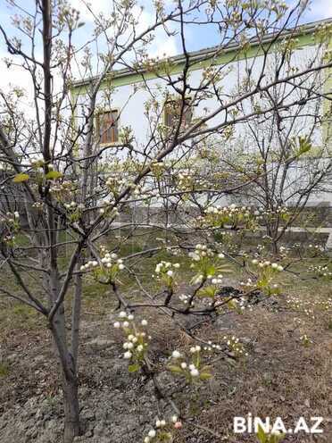 6 otaqlı həyət evi/bağ evi - Xaçmaz - 480 m² (4)