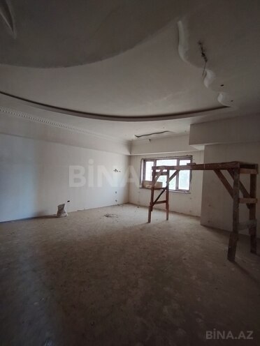 14 otaqlı həyət evi/bağ evi - Nəsimi m. - 1100 m² (4)