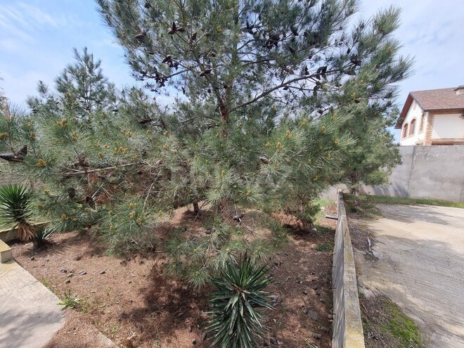 Продаётся  дом/дача 450 м², Сабунчинский  р., photo 25 from 29