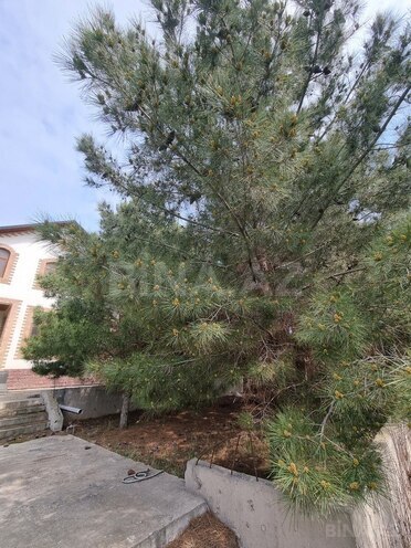 Продаётся  дом/дача 450 м², Сабунчинский  р., photo 8 from 29