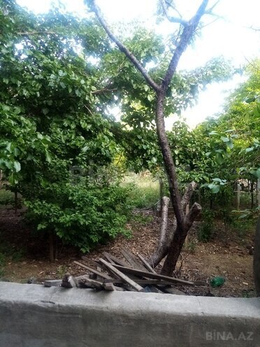5 otaqlı həyət evi/bağ evi - Bakıxanov q. - 220 m² (19)