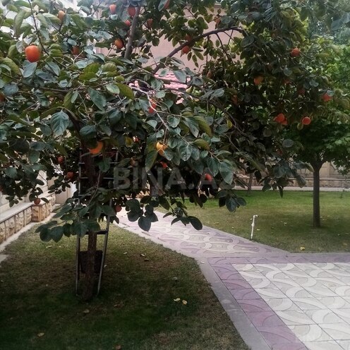 5 otaqlı həyət evi/bağ evi - Bakıxanov q. - 220 m² (28)