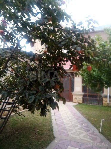 5 otaqlı həyət evi/bağ evi - Bakıxanov q. - 220 m² (23)