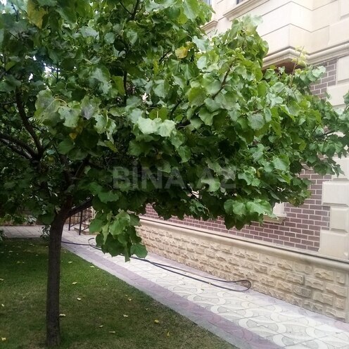 5 otaqlı həyət evi/bağ evi - Bakıxanov q. - 220 m² (27)