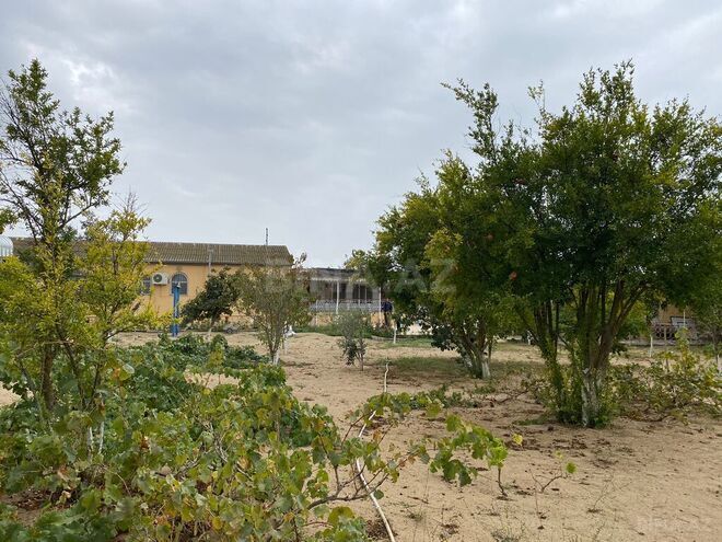 Продаётся  участок 24 сот, пос. Мардакан, photo 12 from 15