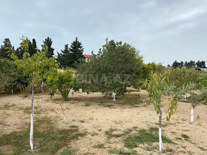 Продаётся  участок 24 сот, пос. Мардакан, photo 10 from 15