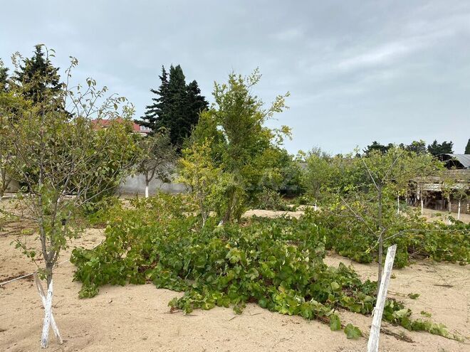 Продаётся  участок 24 сот, пос. Мардакан, photo 4 from 15