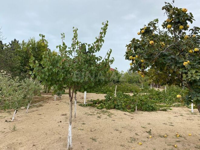 Продаётся  участок 24 сот, пос. Мардакан, photo 9 from 15