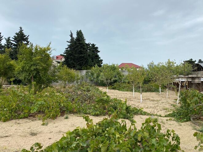 Продаётся  участок 24 сот, пос. Мардакан, photo 3 from 15