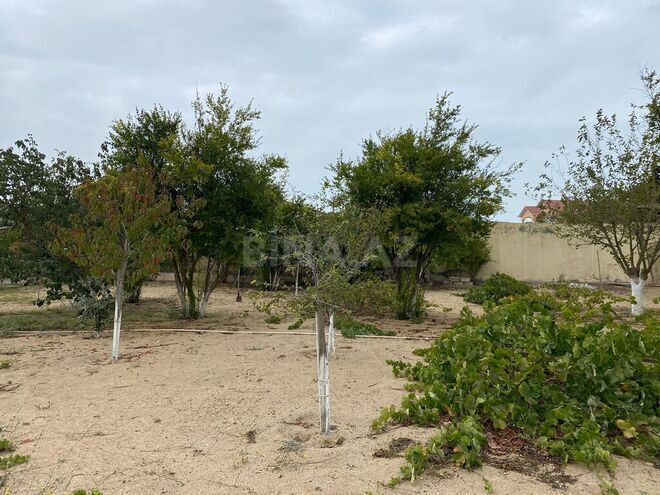 Продаётся  участок 24 сот, пос. Мардакан, photo 13 from 15