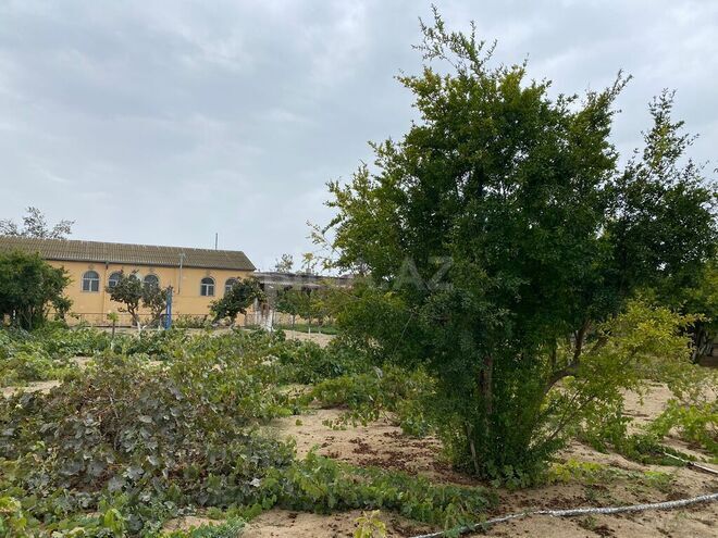 Продаётся  участок 24 сот, пос. Мардакан, photo 6 from 15