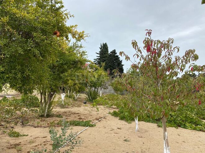 Продаётся  участок 24 сот, пос. Мардакан, photo 5 from 15