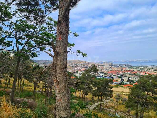 Продаётся  участок 34 сот, пос. Бадамдар, photo 29 from 30