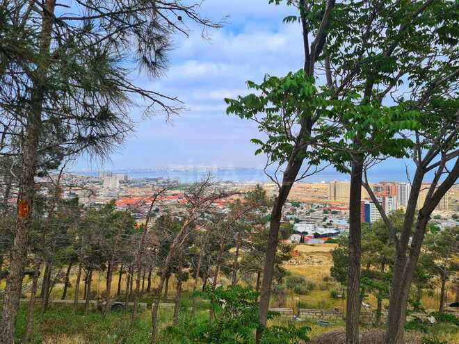 Продаётся  участок 34 сот, пос. Бадамдар, photo 3 from 30