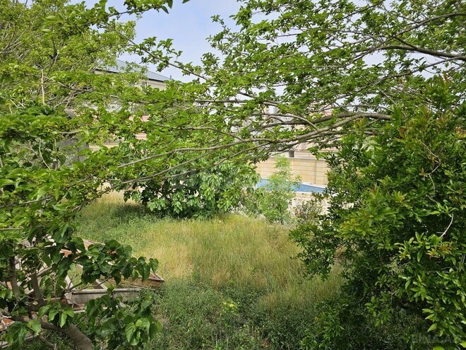 Продаётся  участок 95 сот, пос. Бадамдар, photo 19 from 25