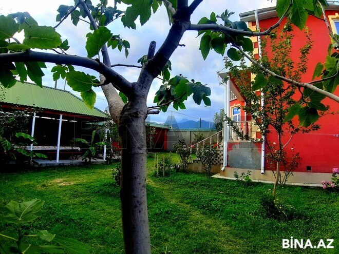 5 otaqlı həyət evi/bağ evi - Qəbələ - 200 m² (10)