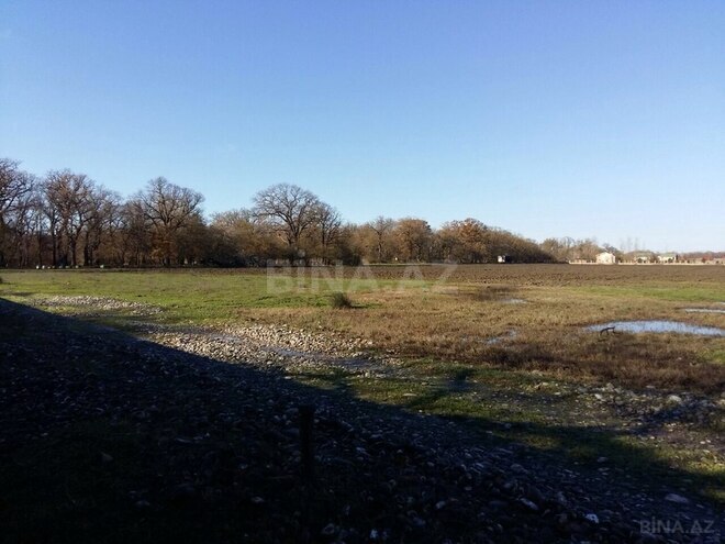 Продаётся  участок 200 сот, Набрань р., photo 7 from 11