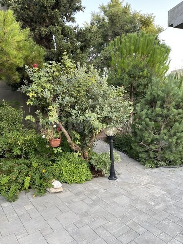 İcarəyə verilir 4 otaqlı həyət evi/bağ evi 150 m², Şüvəlan q., photo 21 from 32