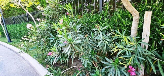 Продаётся 6-комн. дом/дача 412 м², пос. Sea Breeze, photo 12 from 16