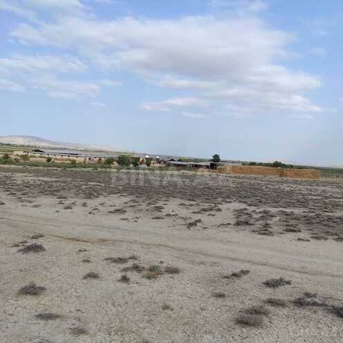 Объект - Гаджигабул - 15000 м² (24)