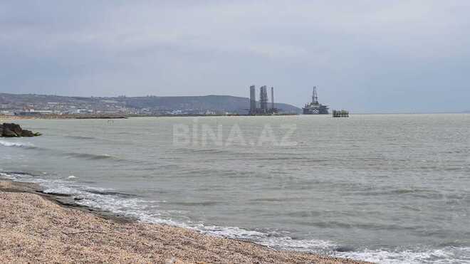 Продаётся  участок 530 сот, пос. Шихов , photo 9 from 19