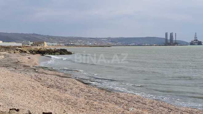 Продаётся  участок 530 сот, пос. Шихов , photo 10 from 19