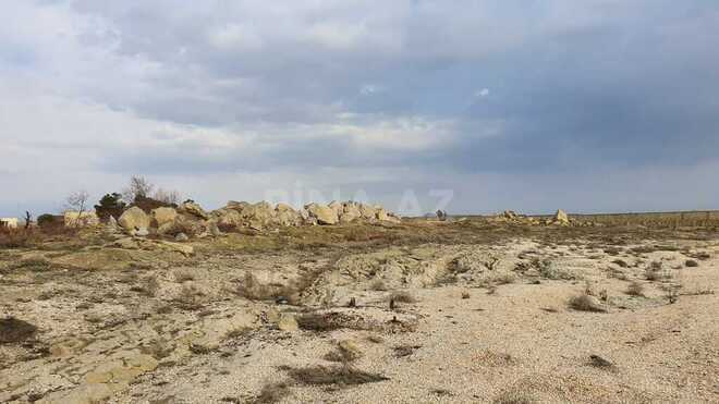 Продаётся  участок 530 сот, пос. Шихов , photo 13 from 19
