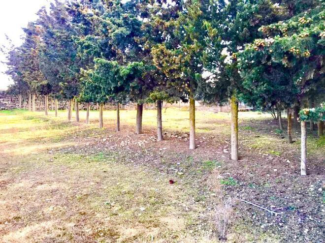 Satılır  torpaq 21 sot, Qala q., photo 15 from 19