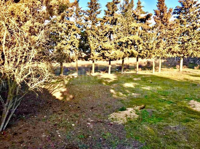 Satılır  torpaq 21 sot, Qala q., photo 18 from 19